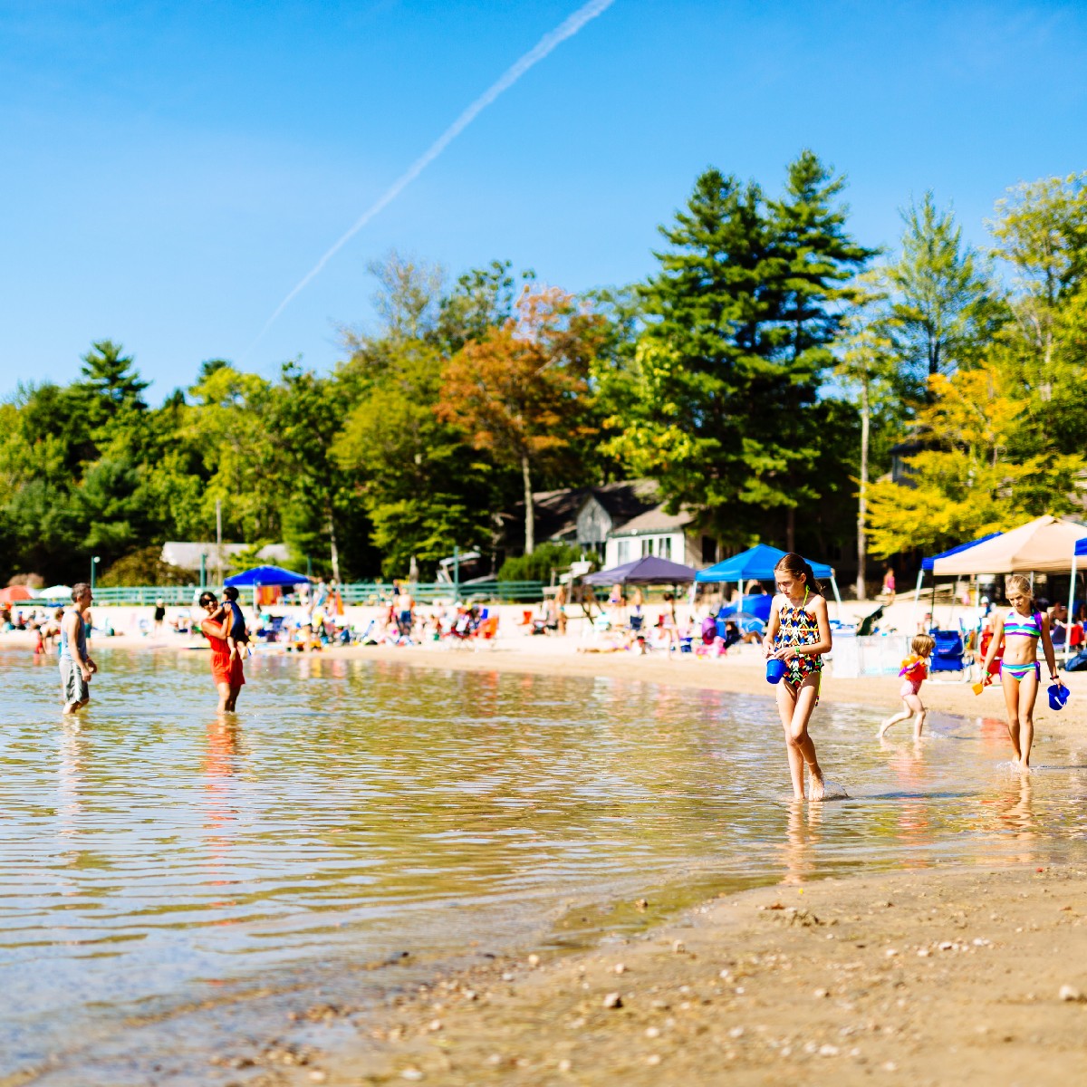 Point Sebago tweet media