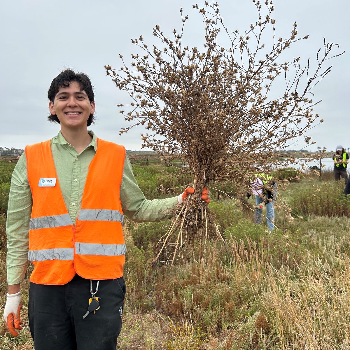 Spotlight: Luke M has interned with The Bolsa Chica Conservancy, primarily working in restoration, but also has spent time hosting at our interpretive center, leading volunteers, and conducting surveys. Luke has been a valuable team member, and we hope to see him back soon!