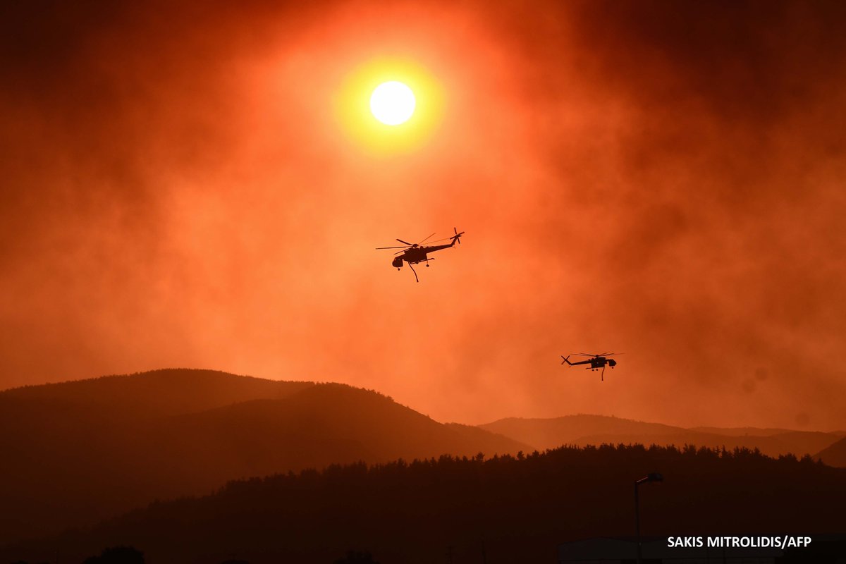 SakisMitrolidis's tweet photo. Evros, wildfire. https://t.co/pJNW9ePjJv