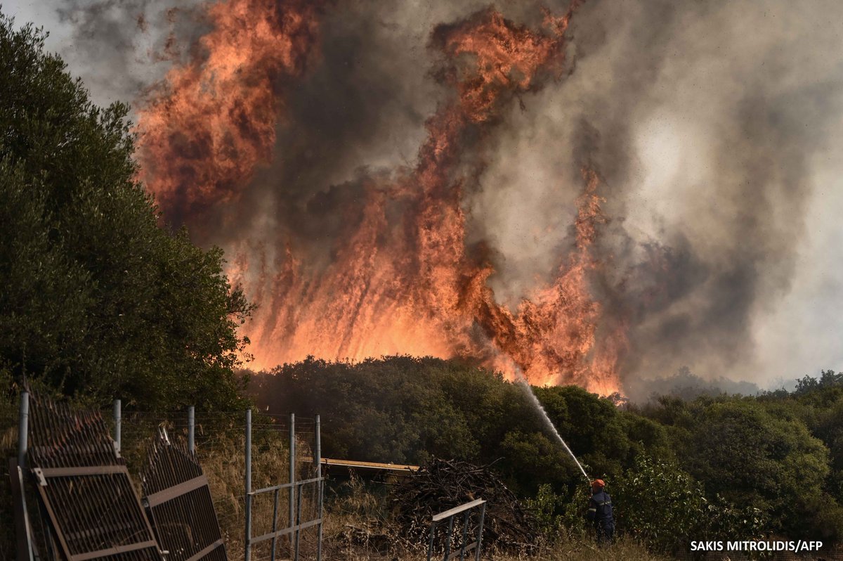 SakisMitrolidis's tweet photo. Evros, wildfire. https://t.co/pJNW9ePjJv