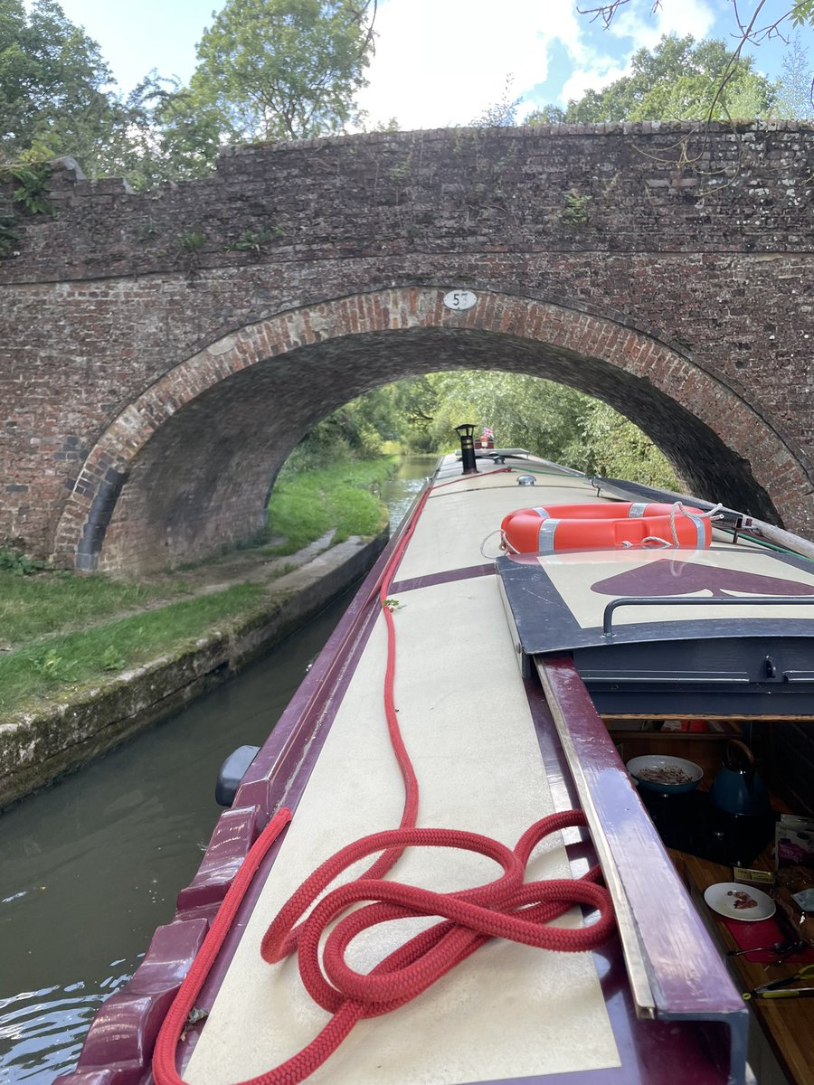 Miss Sigston (@misssigston) on Twitter photo 