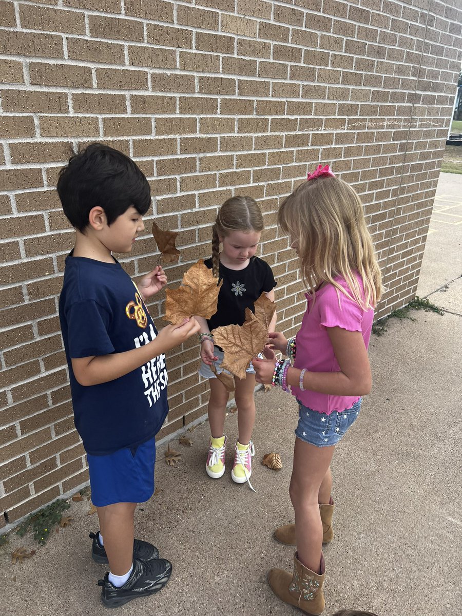 LauraDey22's tweet photo. We have completed our 1st full week! I am incredibly proud of the little community we have created in such a short time. 2nd grade is definitely #readyforthenextphase  @CimarronElem https://t.co/RfZy9aJMrH