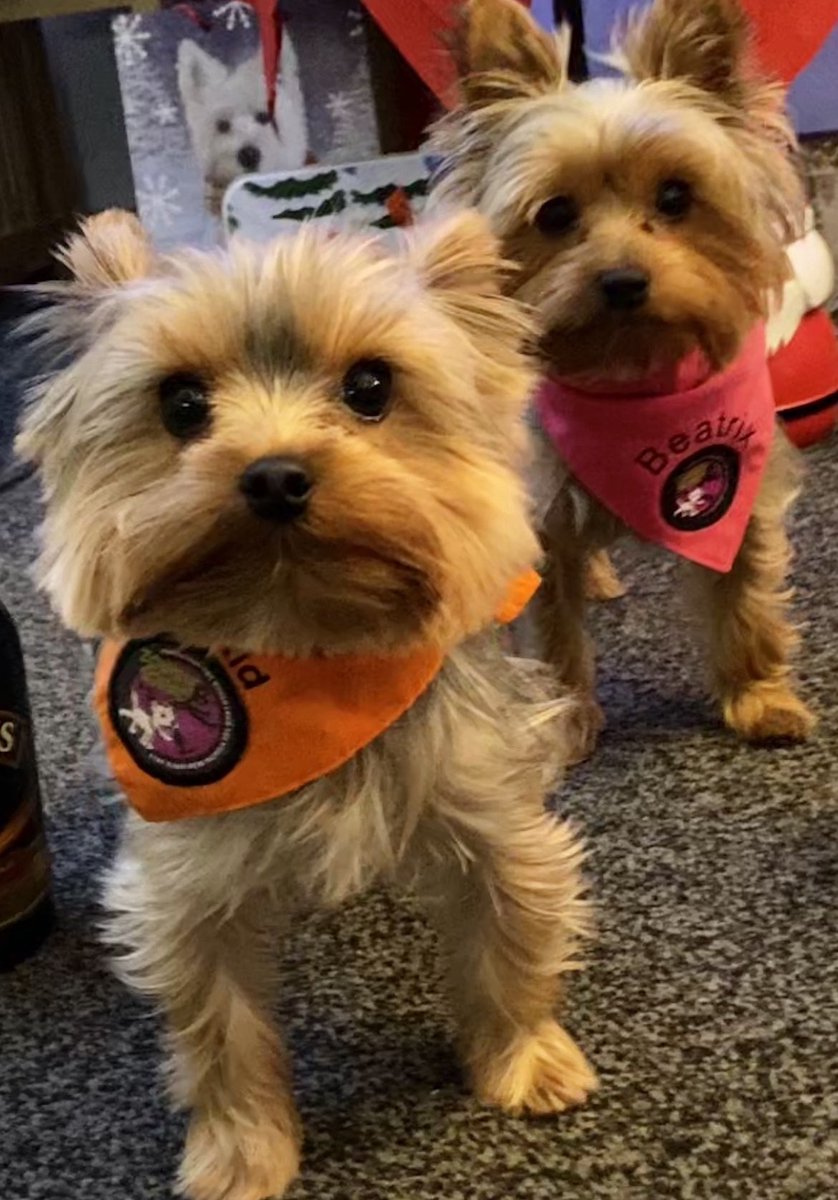 Lord Billy and his trusted Wench at Zombiesquad’s service forever #ZSHQ #zzst