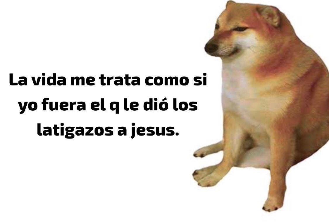 nacional_memes's tweet photo. 🐶 https://t.co/Z2uBIVfNCh