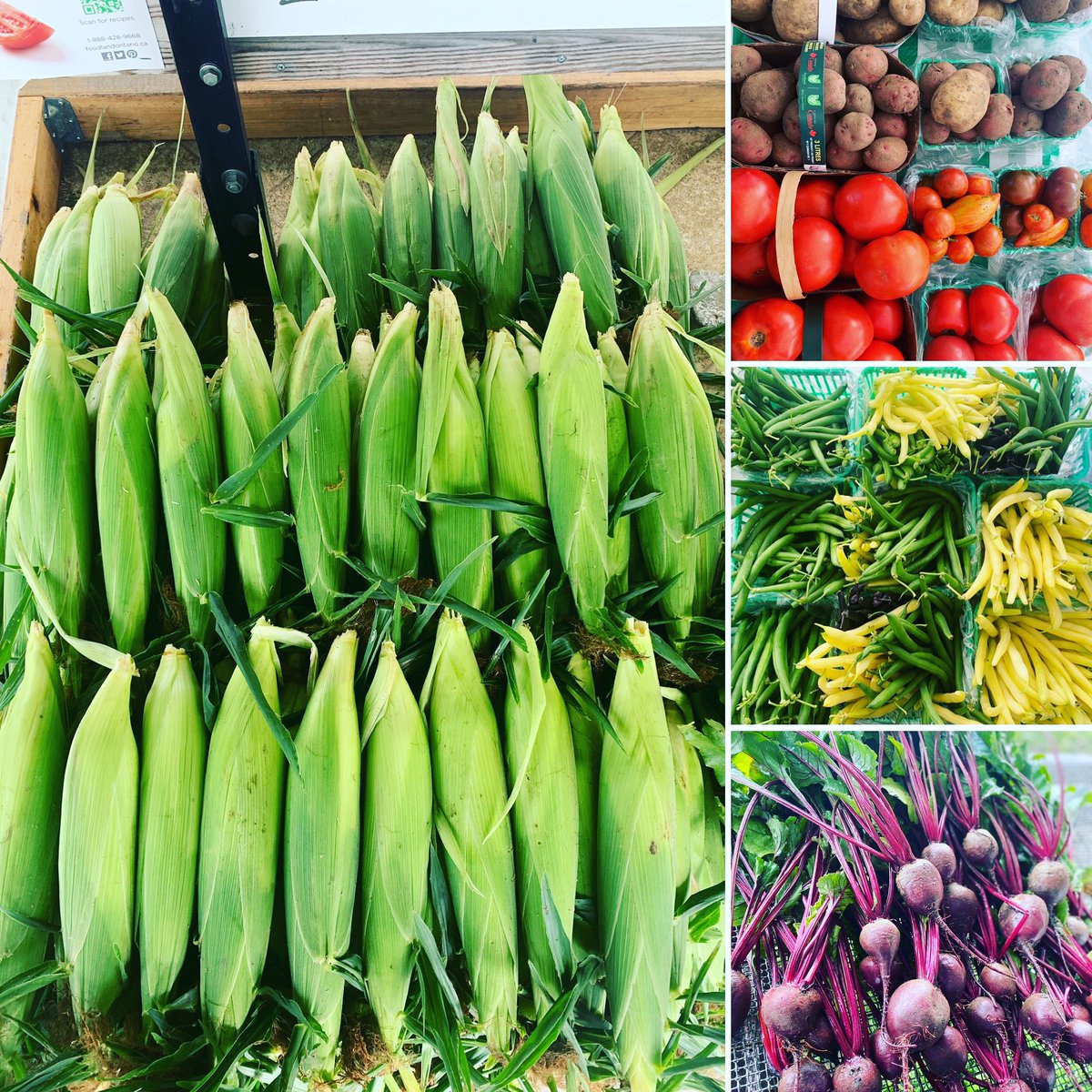 All the colours of the #rainbow 🌈 are available today at #indianriveracres farm market stand! Open till 6pm everyday
#getitwhileyoucan #homegrown #handpicked #veggies #eatyourgreens #halfyourplate #foodlandontario #summers #localfood #lovelocalptbo