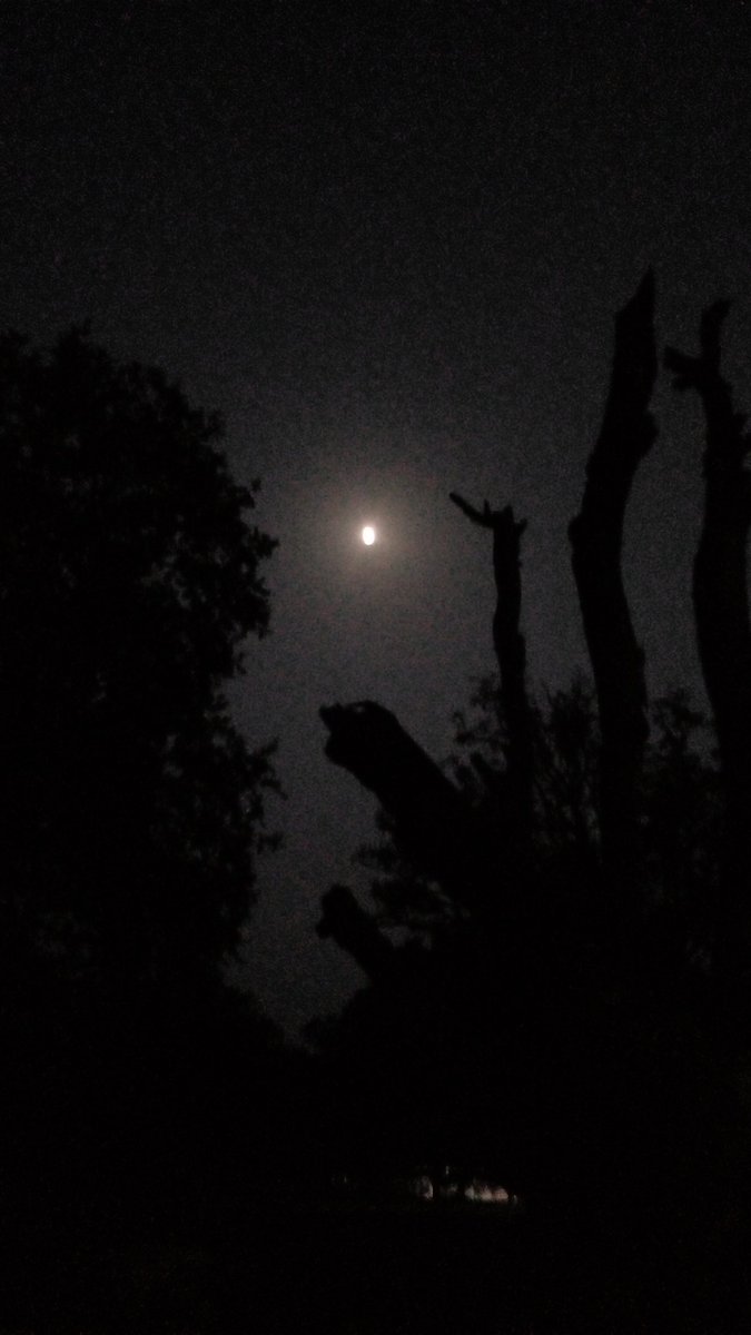 satyam_ydv18's tweet photo. मैं उस से ये तो नहीं कह रहा जुदा न करे....
मगर वो कर नहीं सकता तो फिर कहा न करे!💔🚶‍♂️ https://t.co/RnhEKM1gkL
