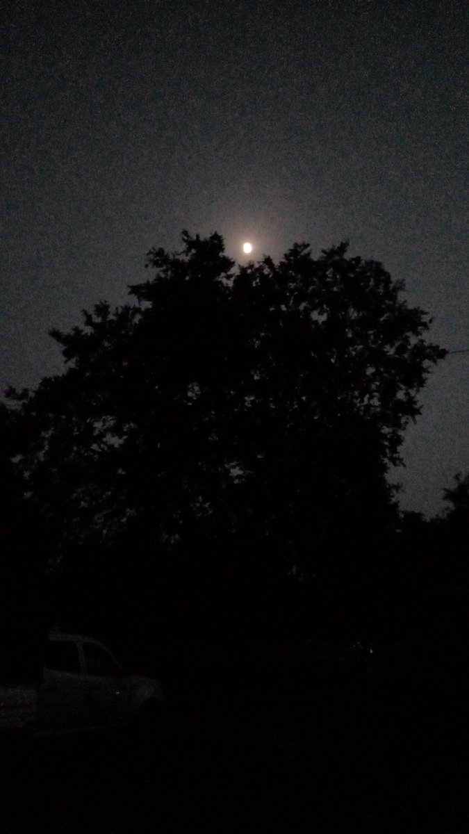 satyam_ydv18's tweet photo. मैं उस से ये तो नहीं कह रहा जुदा न करे....
मगर वो कर नहीं सकता तो फिर कहा न करे!💔🚶‍♂️ https://t.co/RnhEKM1gkL