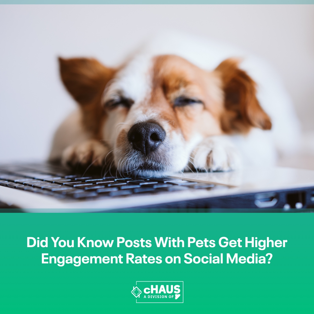 It's International Dog Day and if you're wondering whether you should post that picture of your dog - the answer is yes! Posts with pictures of pets get significantly higher engagement rates compared to posts without pet pictures.