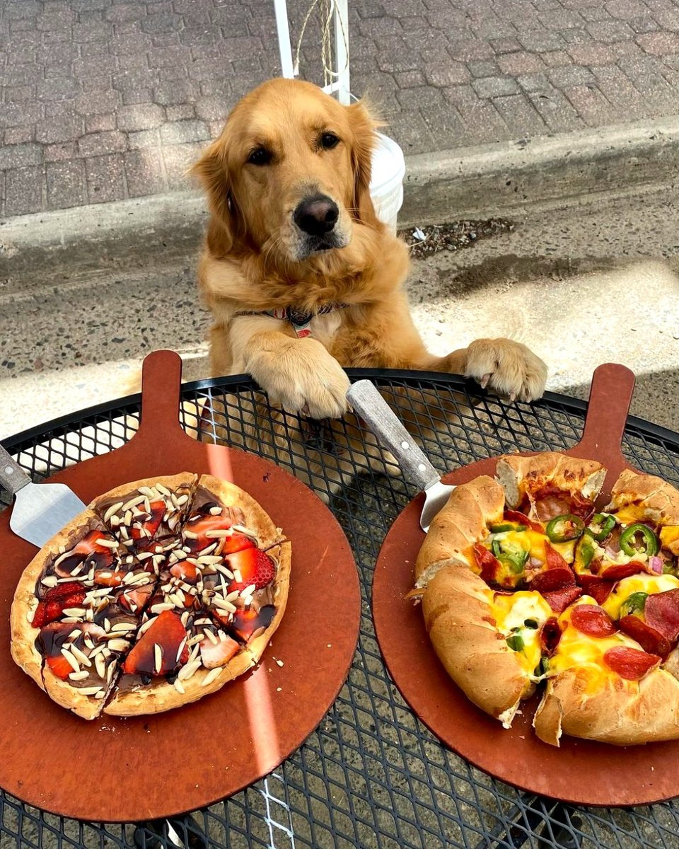 Happy #NationalDogDay! 🐕 We love our furry friends at #BeauJos! 🐶 With each location featuring a patio, it's the perfect place to bring your four-legged pals when you're craving a #Colorado #MountainPie. Don't forget to send us your photos!
📸 @denvergoldenbros (IG)