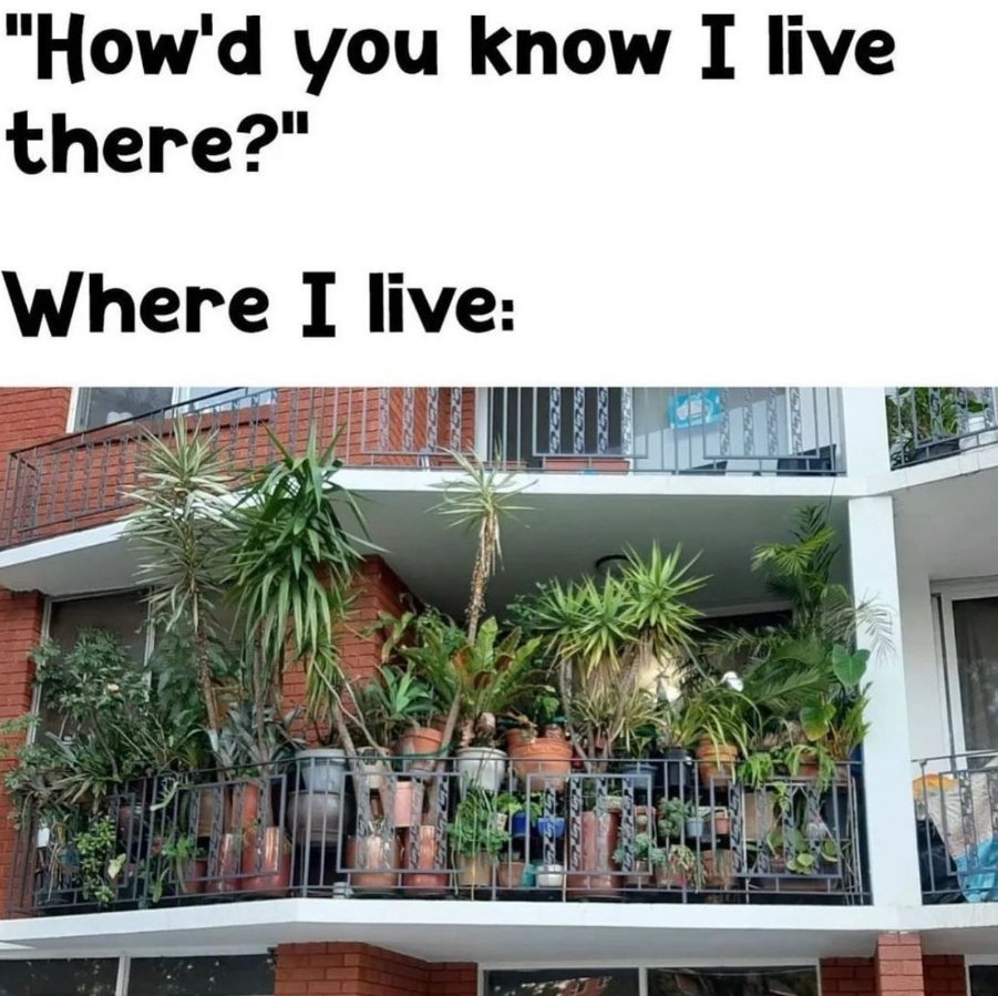 HobbyistPlant's tweet photo. You'll know when you get here... 🌿 https://t.co/OLeFmmWGSm