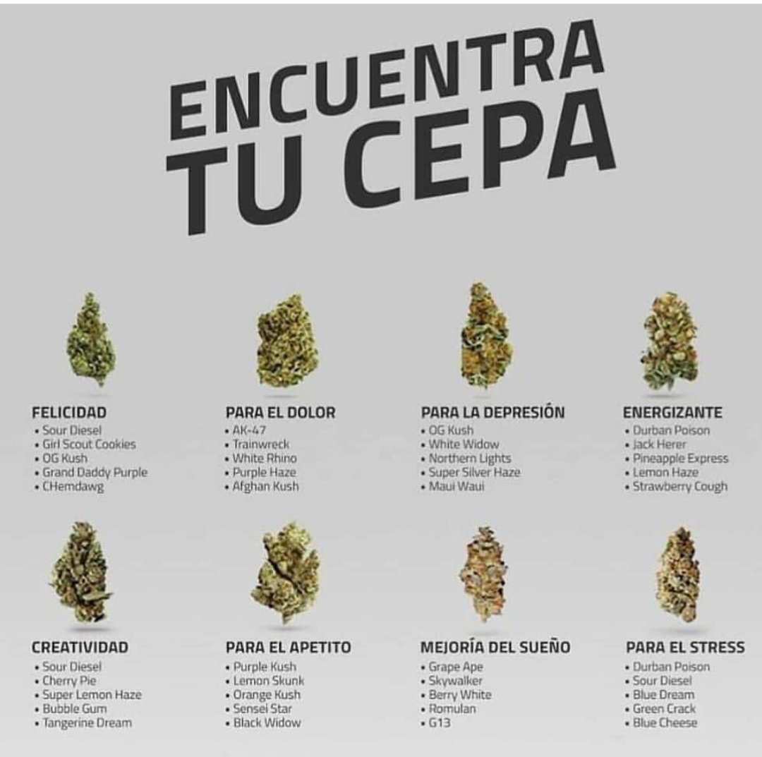 Elparaguayo1231's tweet photo. Con cual se quedan ustedes? https://t.co/iTYYJiJQy7