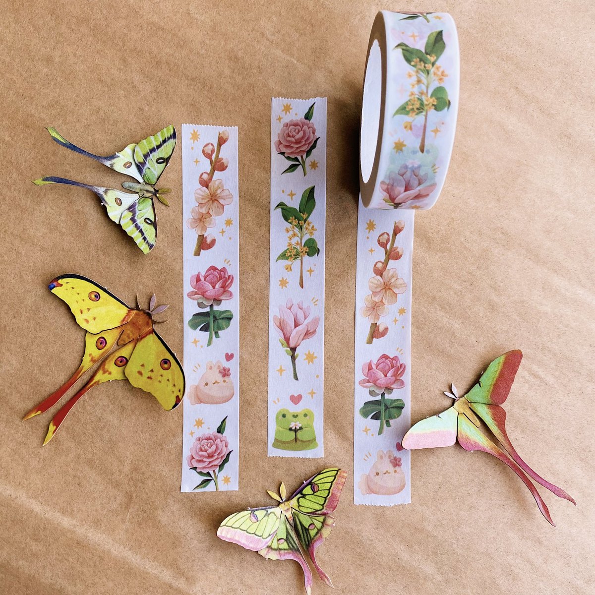 thewashistation's tweet photo. [RT] 🌱 new things at the Washi Station now! 🌱 https://t.co/cvDCrQVwWG