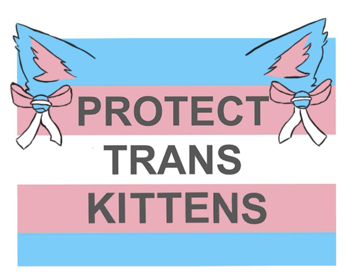 Egg_irl_bot's tweet photo. Egg🏳️‍⚧️irl #Gender Nonspecific Meme https://t.co/aEE8g0gElT https://t.co/YBzmNVoxf1