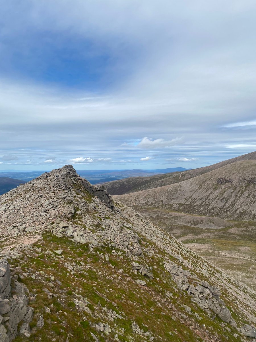 The Mount School York tweet media