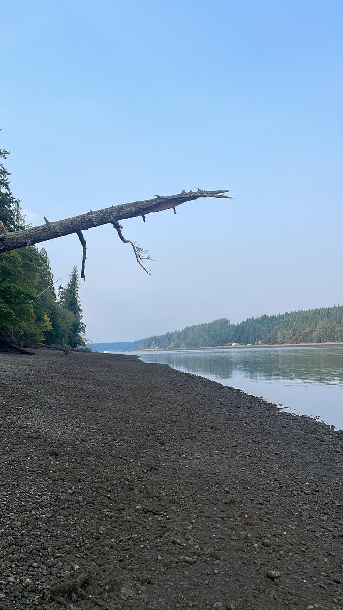 cranegeronimo tweet media