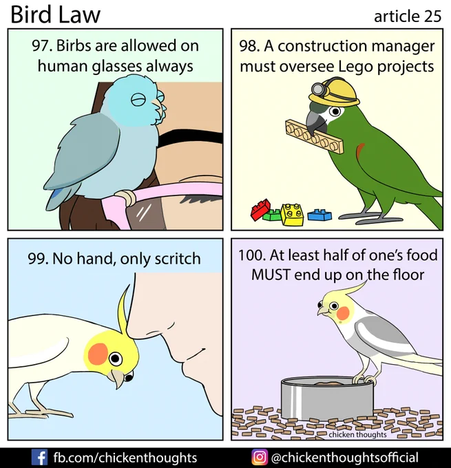 Bird law article 25 starring Luna (@lunamoonaverse), Frankie, Apollo (@apollotiel), and Mercury!