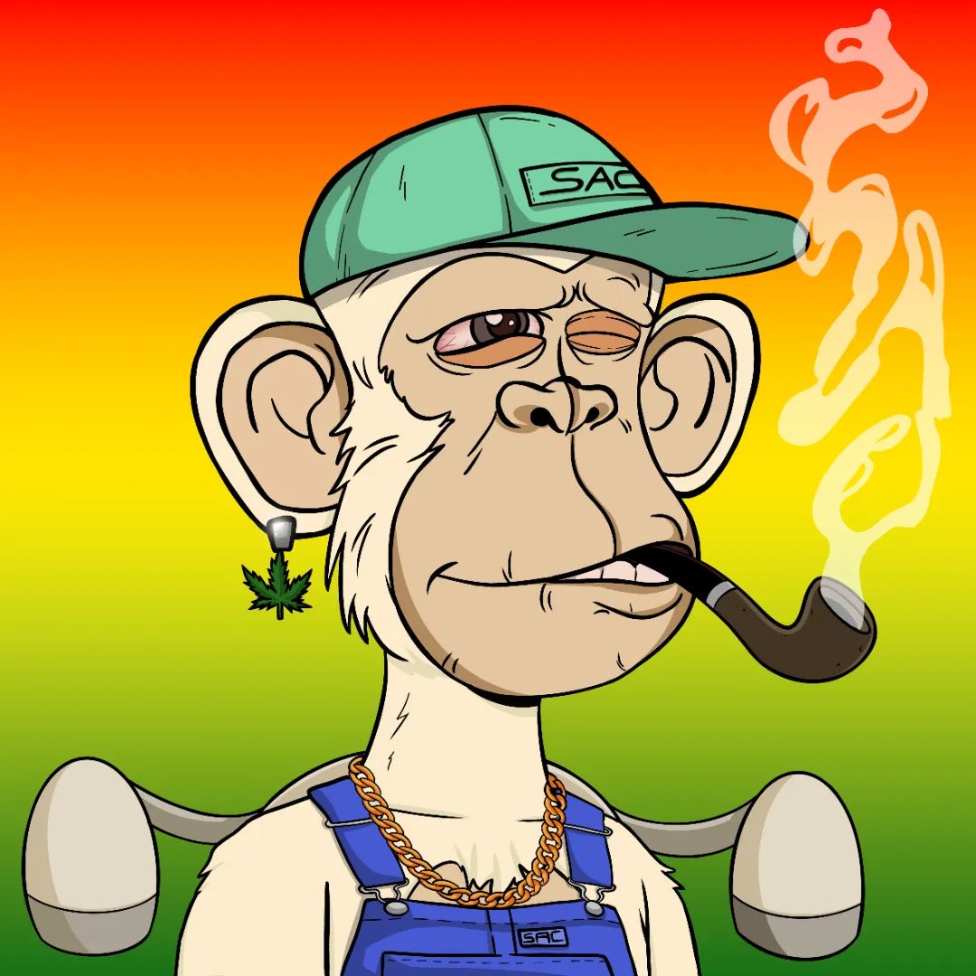 kryptotheory's tweet photo. GM Stoner Apes #SACPAC @Stxners #StonerApeClub https://t.co/5PgU2p2lmG