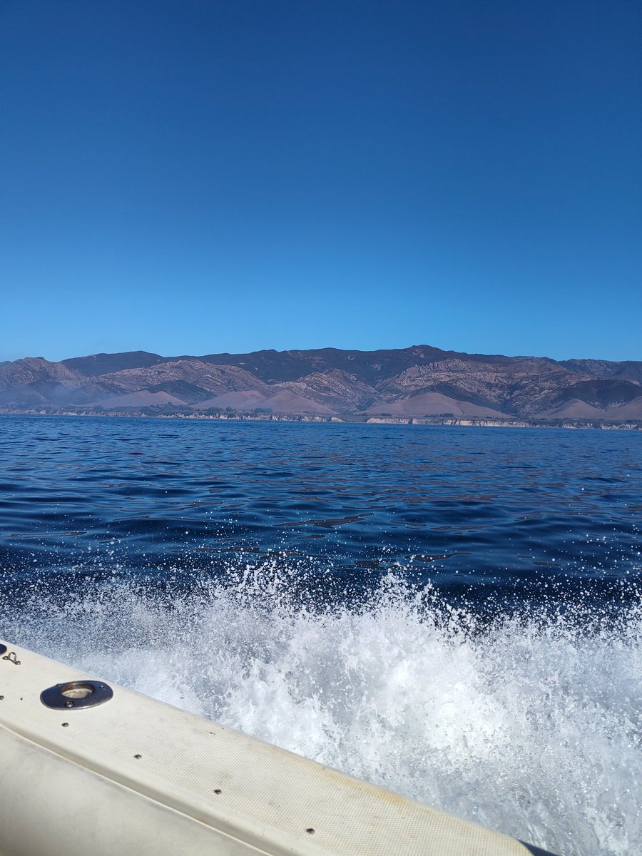 Johnny-kelphead tweet media