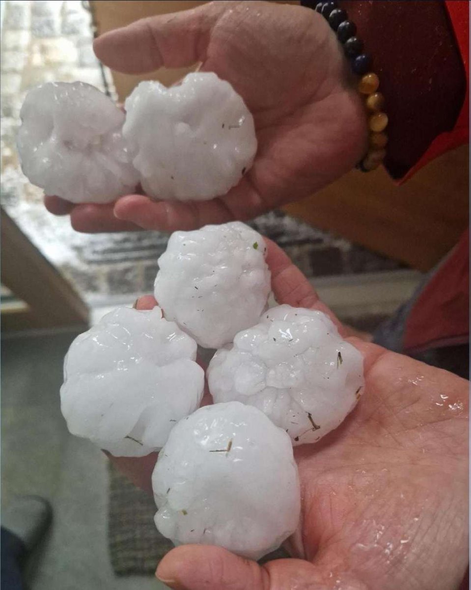 Sausiuswx tweet media