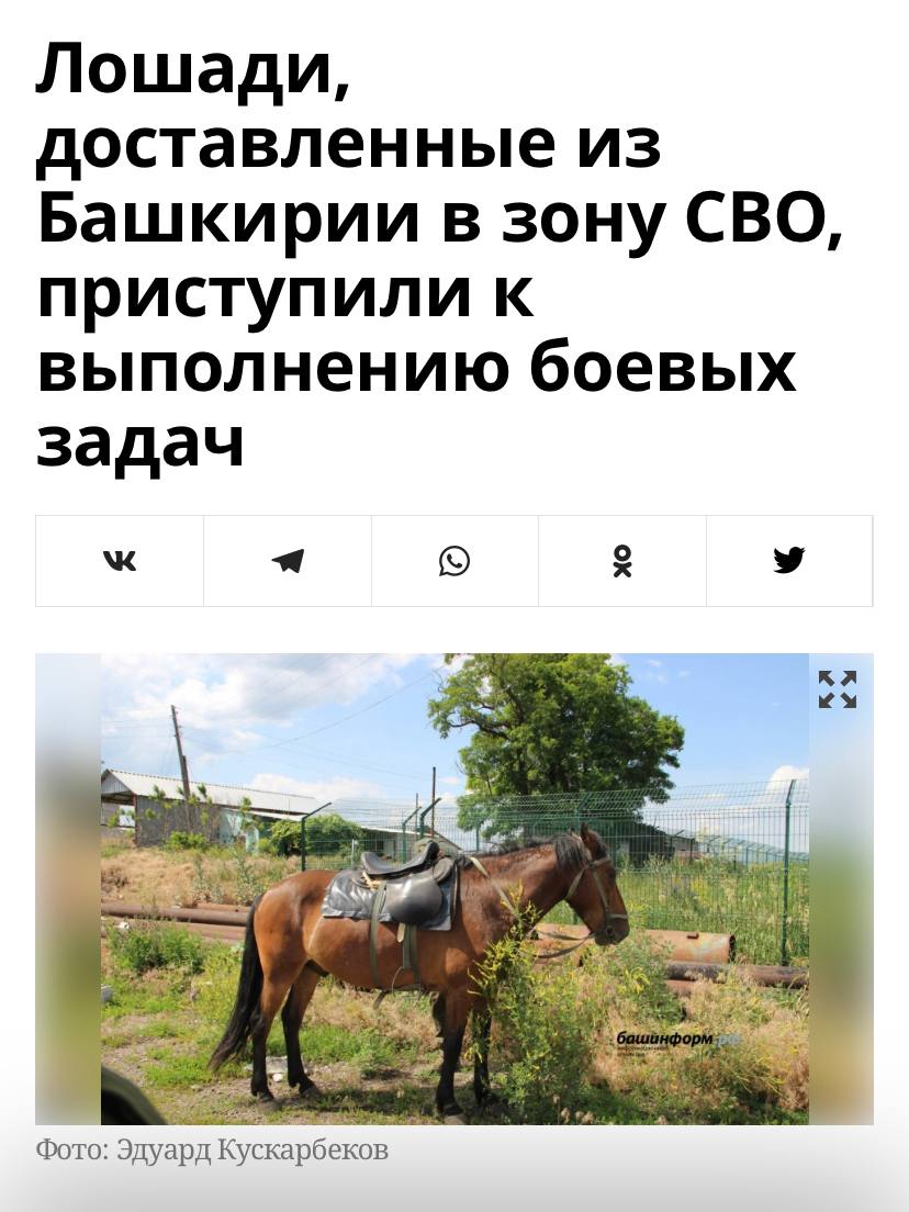 Russians_Life's tweet photo. Ладно старые танки на фронте, это ещё хоть как-то объяснимо, но лошади… https://t.co/bNLbZd1a2j