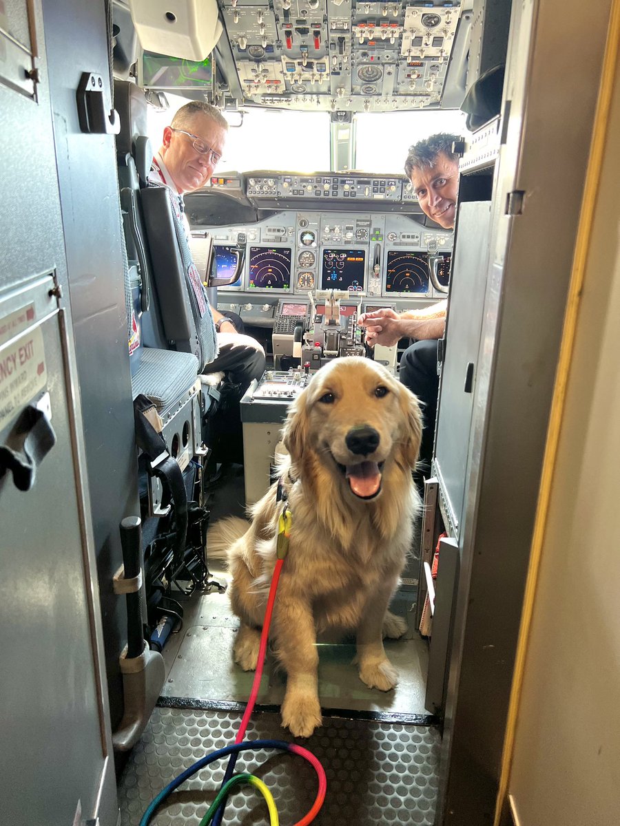 TSA_Pacific's tweet photo. So proud to partner with @Canine_Support &amp; @SanDiegoAirport to help tell the story of the great work going on in the San Diego area. Thanks @CBS8 for joining us! https://t.co/0clBrtdyWe