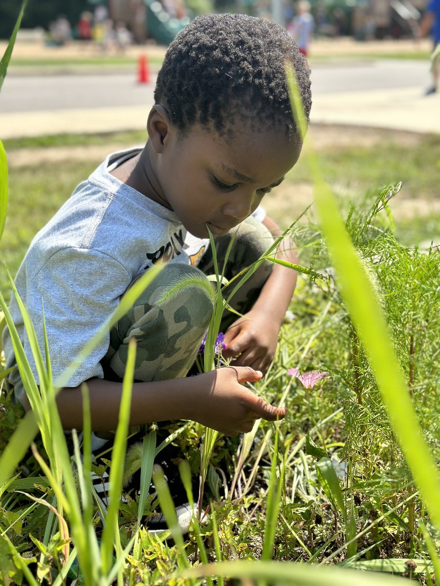 MissWeadock's tweet photo. One of the sweetest moments captured from our first week in K! 🌱🧡 #adcc #hcsd https://t.co/pOR2txGbGR