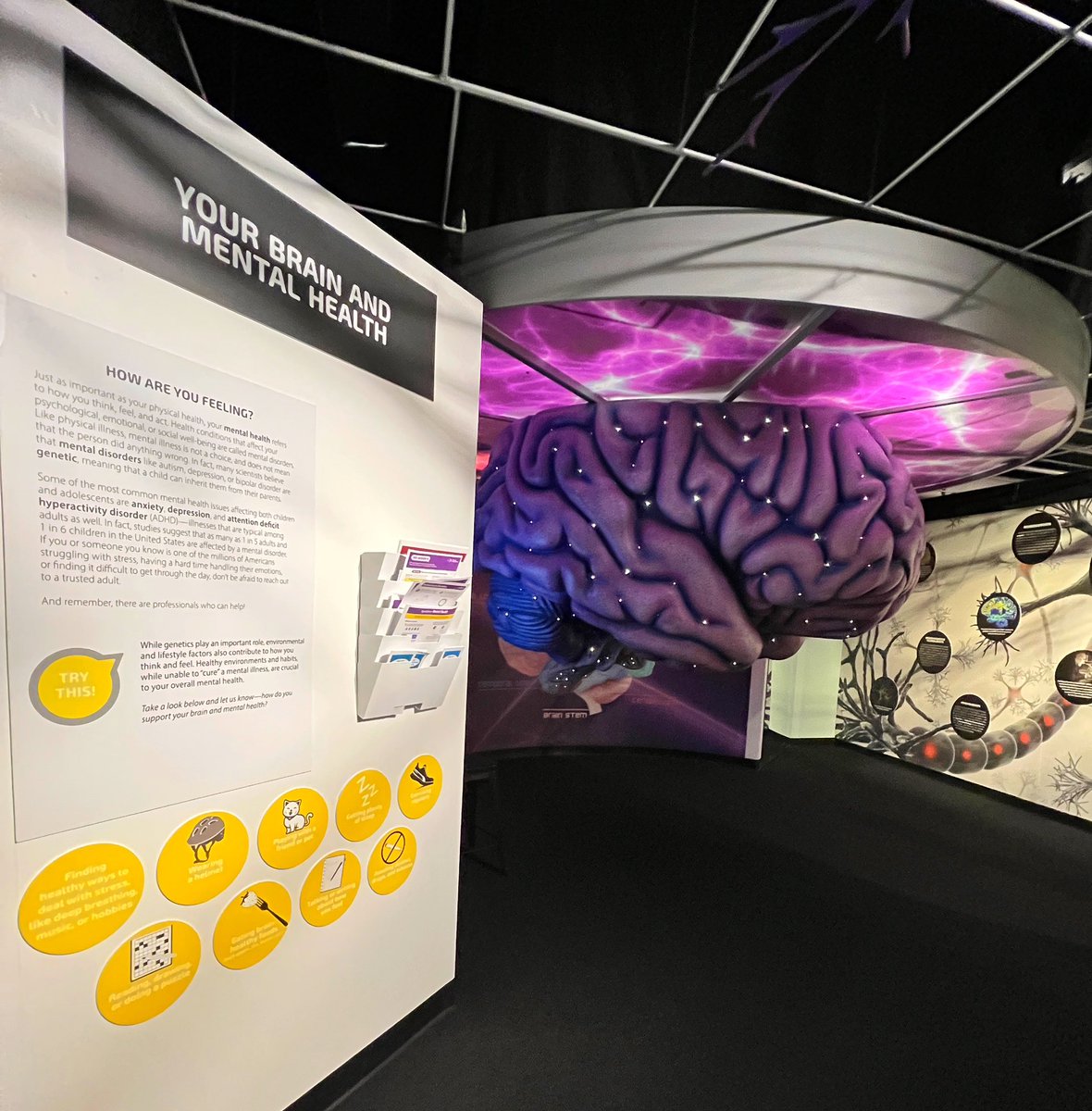 debshackell's tweet photo. Loved seeing #MHPinaction @MOSTSyracuse. Powerful learning and connections to science — plus helpful information, tips on seeking/providing support, and available services in the area. https://t.co/6jnDmlMcjK