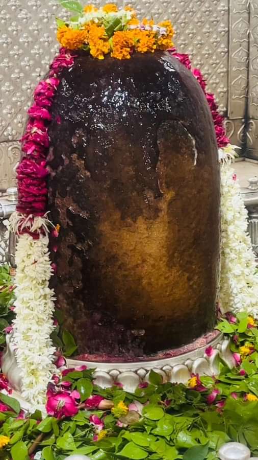 Tmatangi's tweet photo. #ShivShakti

🇮🇳भारत देश वह राष्ट्र हैं , जिसे गुरु परम्परा का आशीर्वाद प्राप्त हैं।🙏🙏🌄

🚩निसर्ग में ईश्वर को देखना आज से नही शास्त्रों में भी वर्णित हैं। https://t.co/hGfL1JAjwy