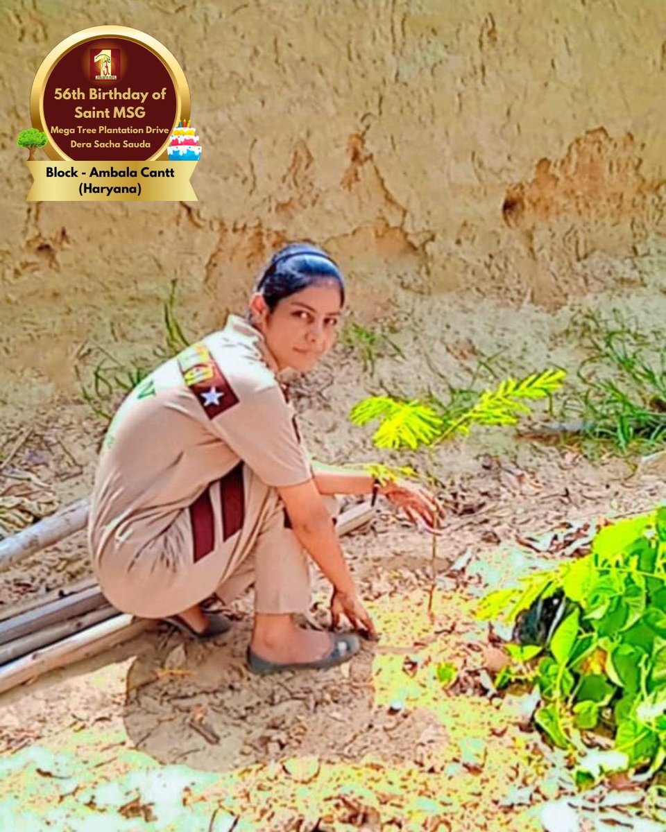 DSSNewsUpdates's tweet image. A birthday celebration that Mother Earth rejoices too! Dera Sacha Sauda volunteers celebrated Saint Dr. Gurmeet Ram Rahim Singh Ji Insan's 56th birthday ‘MSGBhandara’ by planting more trees. #56thBirthday #SaintDrMSG #DeraSachaSauda #TreePlantation