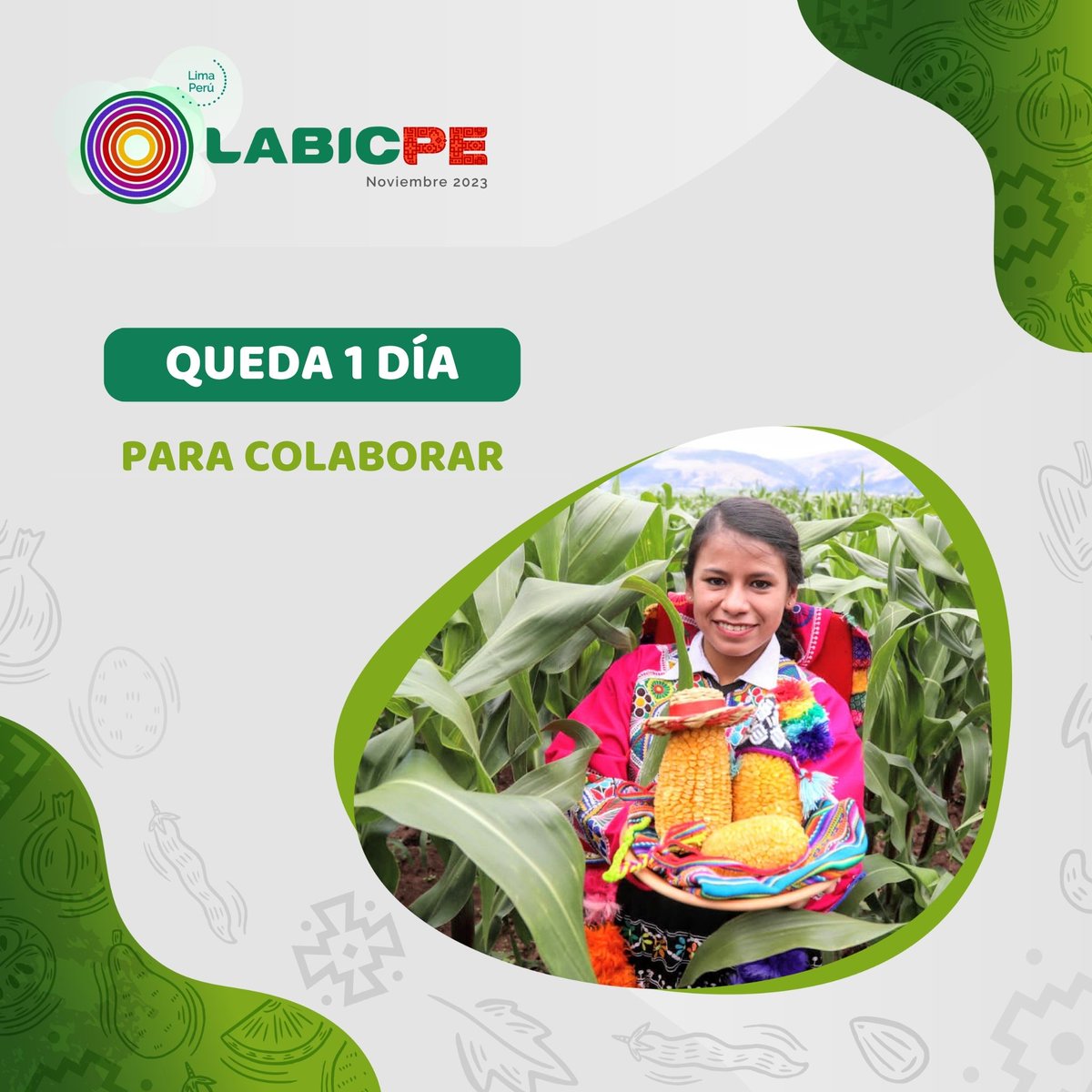 PeruPaisDigital's tweet photo. ¡Queda 1 día para postular! Estos son los 8 proyectos seleccionados para ser prototipados en el LABICPE bajo la temática #SeguridadAlimentaria. 

✅Awajun, producción e innovación (Perú)
✅Bio PolisPro, extracto a base de propóleos (Argentina)
✅Campo conecta (Colombia)
(1/2) https://t.co/czCC6lEH09