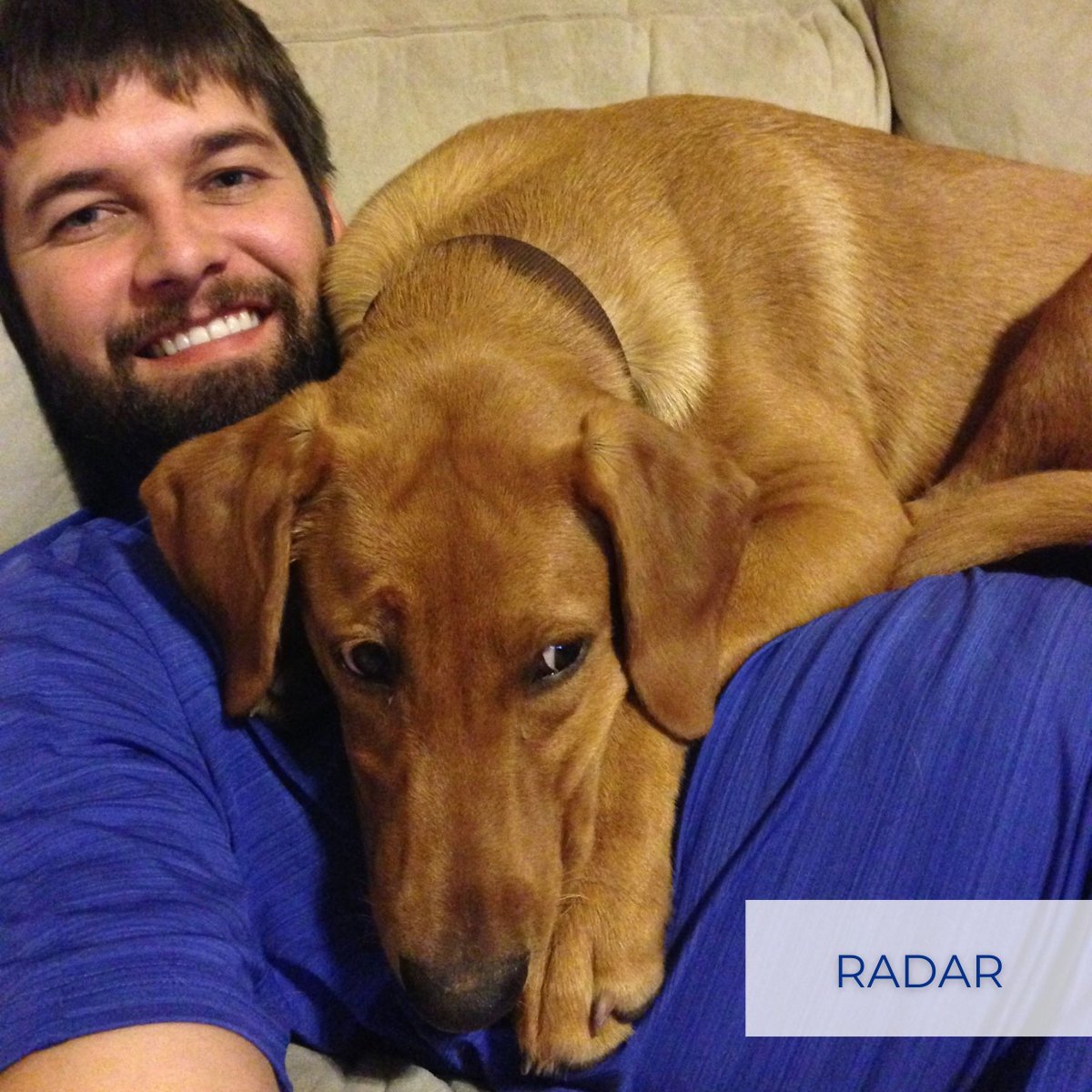 HP_Engineering's tweet photo. At HP Engineering, we're not just a team of #engineers, designers, and creative problem solvers; we're also proud pet parents! On National Dog Day, we want to thank our furry friends who make our workdays brighter and help us excel in serving our clients.

#WeAreHP #1HP #TeamHP https://t.co/nkHukWcfqA
