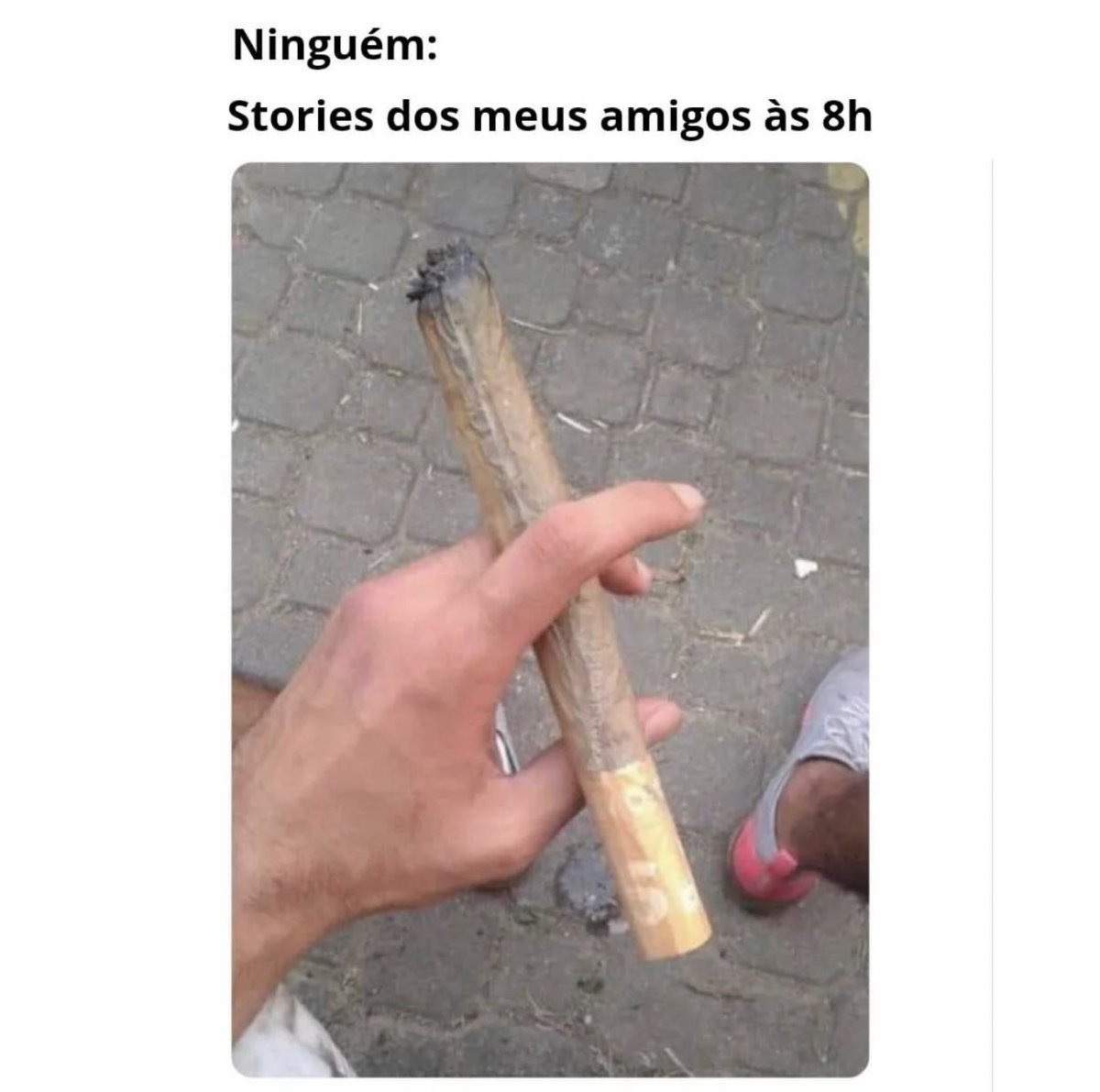 Cannabis Brasil (@canabisbrasil) on Twitter photo 