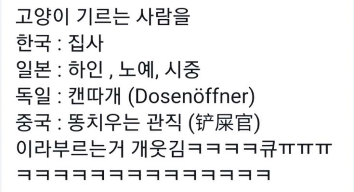 day_off_daying's tweet image. 나라 별 호칭