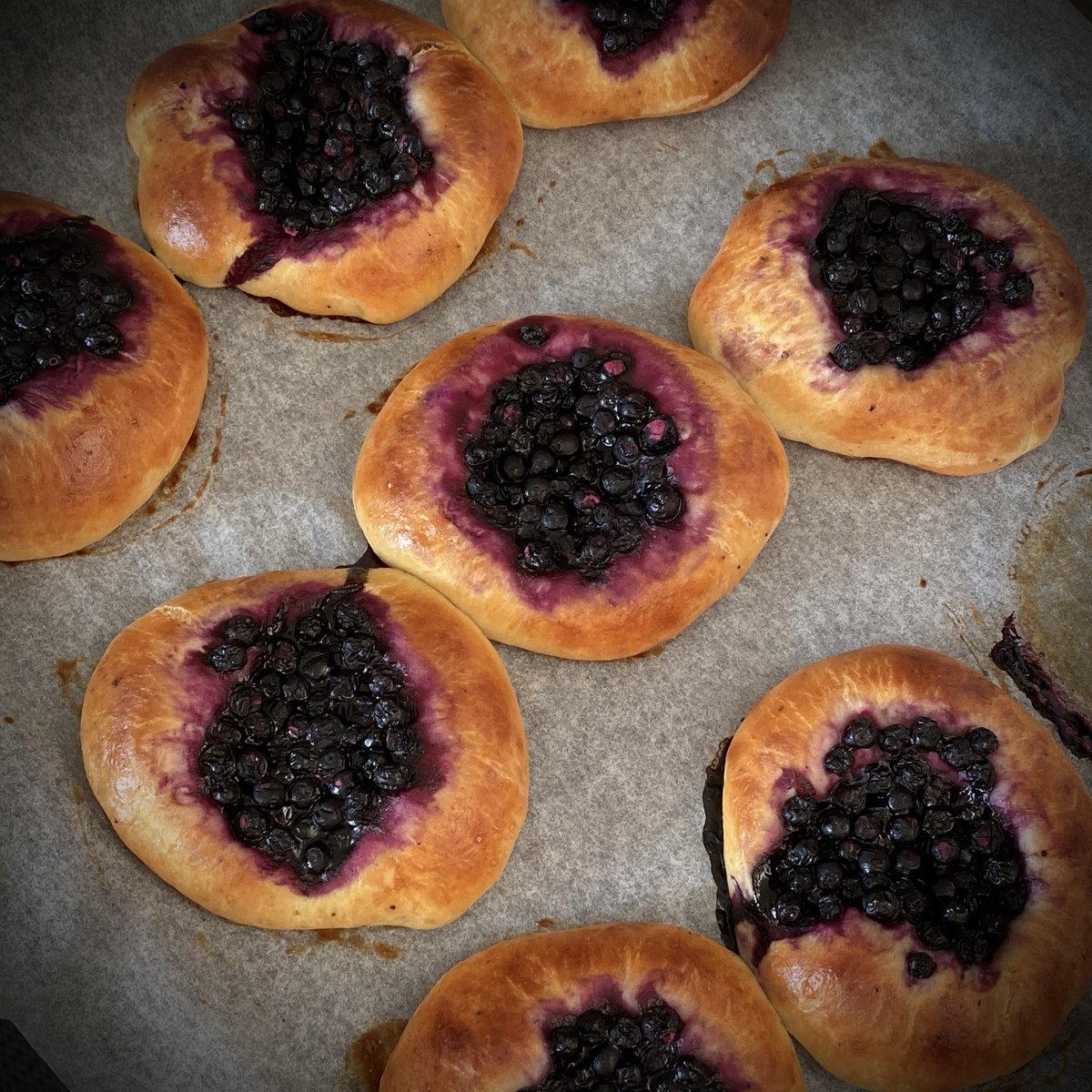 mattiselkala's tweet image. Hyvää #luontopäivää Päivän nimikkoleivonnainen #mustikkapiirakka #itetein ja söin 😋