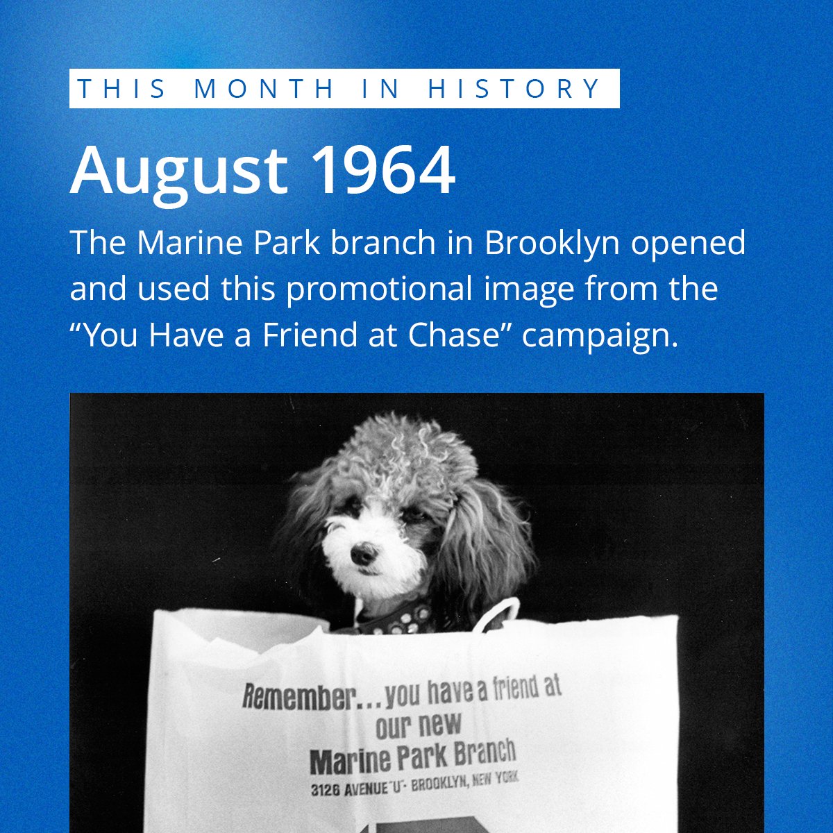 In honor of #NationalDogDay, we’re turning back the clock to August 1964 when this cute pup starred in the “You Have a Friend at Chase” campaign! 🐶💙 This promotional image was used during the opening of the Marine Park branch in Brooklyn, NY.