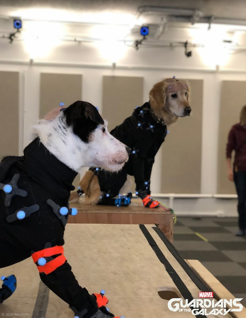 EidosMontreal's tweet photo. On #NationalDogDay, we celebrate all good boys and girls, and especially Diego and Greta, who did a paw-mazing as mocap actors to play Cosmo and his puppies in @GOTGTheGame https://t.co/JITBlvkKmt