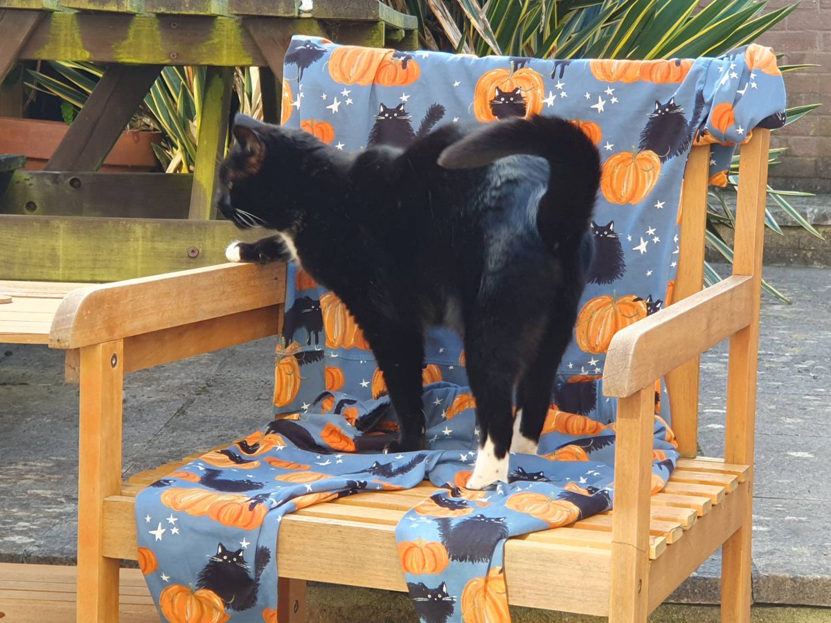 Mum has new pjs from <a href="/nextofficial/">Next</a> 😻 They have me on! 😺