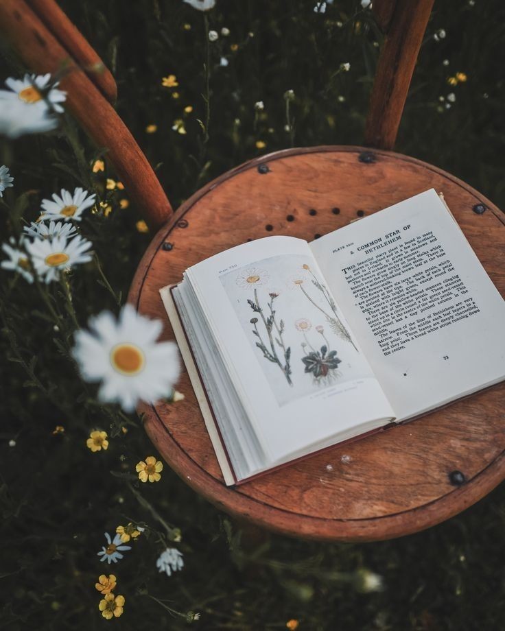 poetical photos. (@poeticalphotos) on Twitter photo 