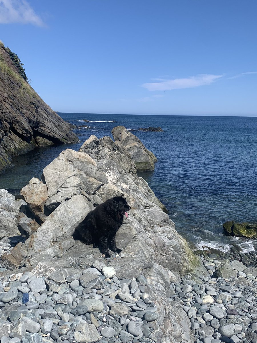 Jake Doyle at Outer Cove Beach ❤️