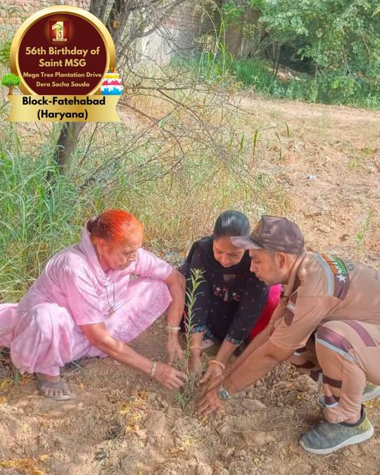 DSSNewsUpdates's tweet image. Celebrating Saint Dr. Gurmeet Ram Rahim Singh Ji Insan's 56th birthday ‘MSGBhandara’, Dera Sacha Sauda volunteers extend their gratitude by planting more trees.  #56thBirthday #SaintDrMSG #DeraSachaSauda #TreePlantation