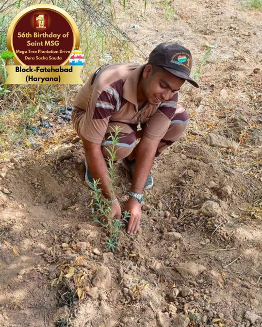 DSSNewsUpdates's tweet image. Celebrating Saint Dr. Gurmeet Ram Rahim Singh Ji Insan's 56th birthday ‘MSGBhandara’, Dera Sacha Sauda volunteers extend their gratitude by planting more trees.  #56thBirthday #SaintDrMSG #DeraSachaSauda #TreePlantation