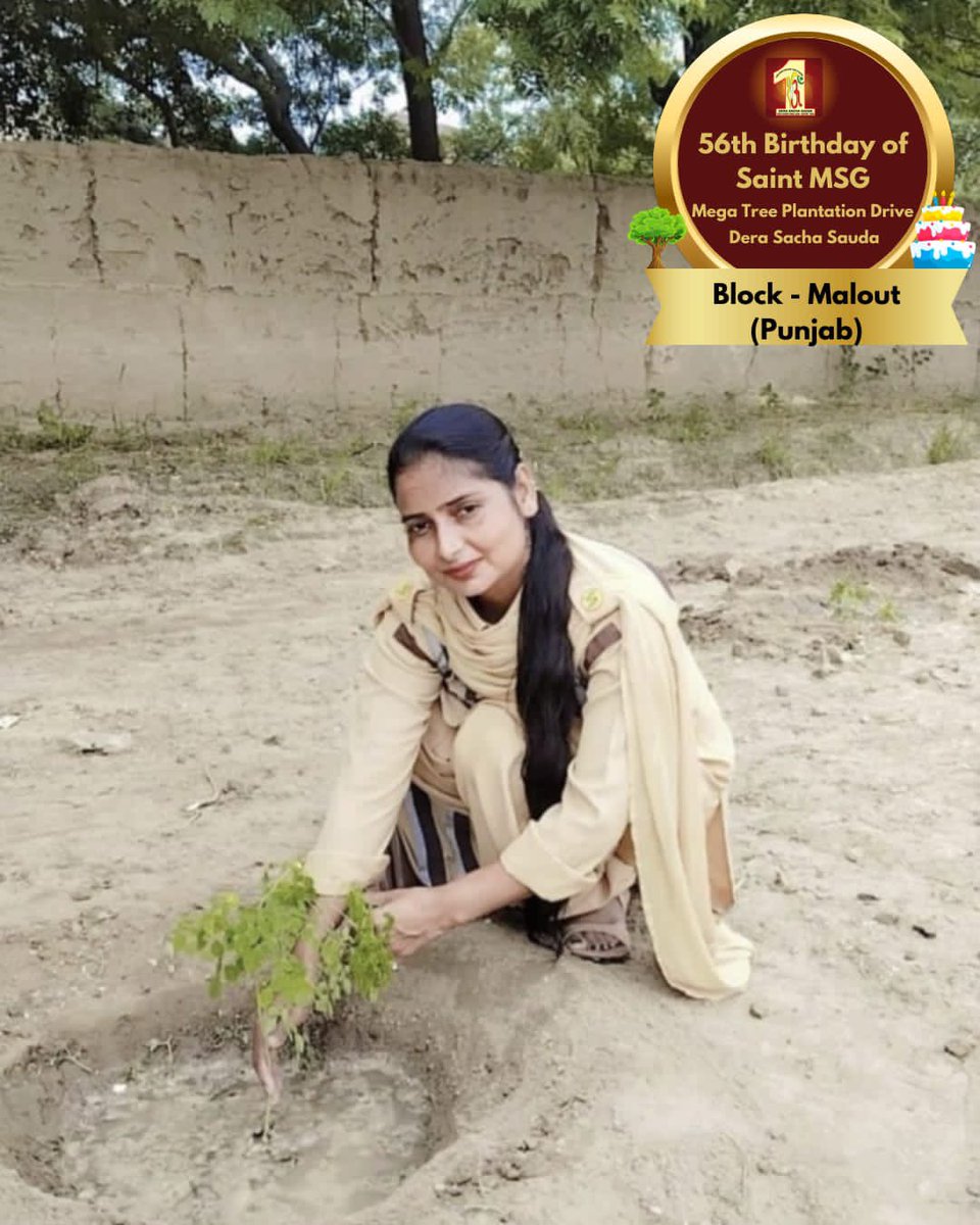 DSSNewsUpdates's tweet image. Celebrating Saint Dr. Gurmeet Ram Rahim Singh Ji Insan's 56th birthday ‘MSGBhandara’, Dera Sacha Sauda volunteers extend their gratitude by planting more trees.  #56thBirthday #SaintDrMSG #DeraSachaSauda #TreePlantation