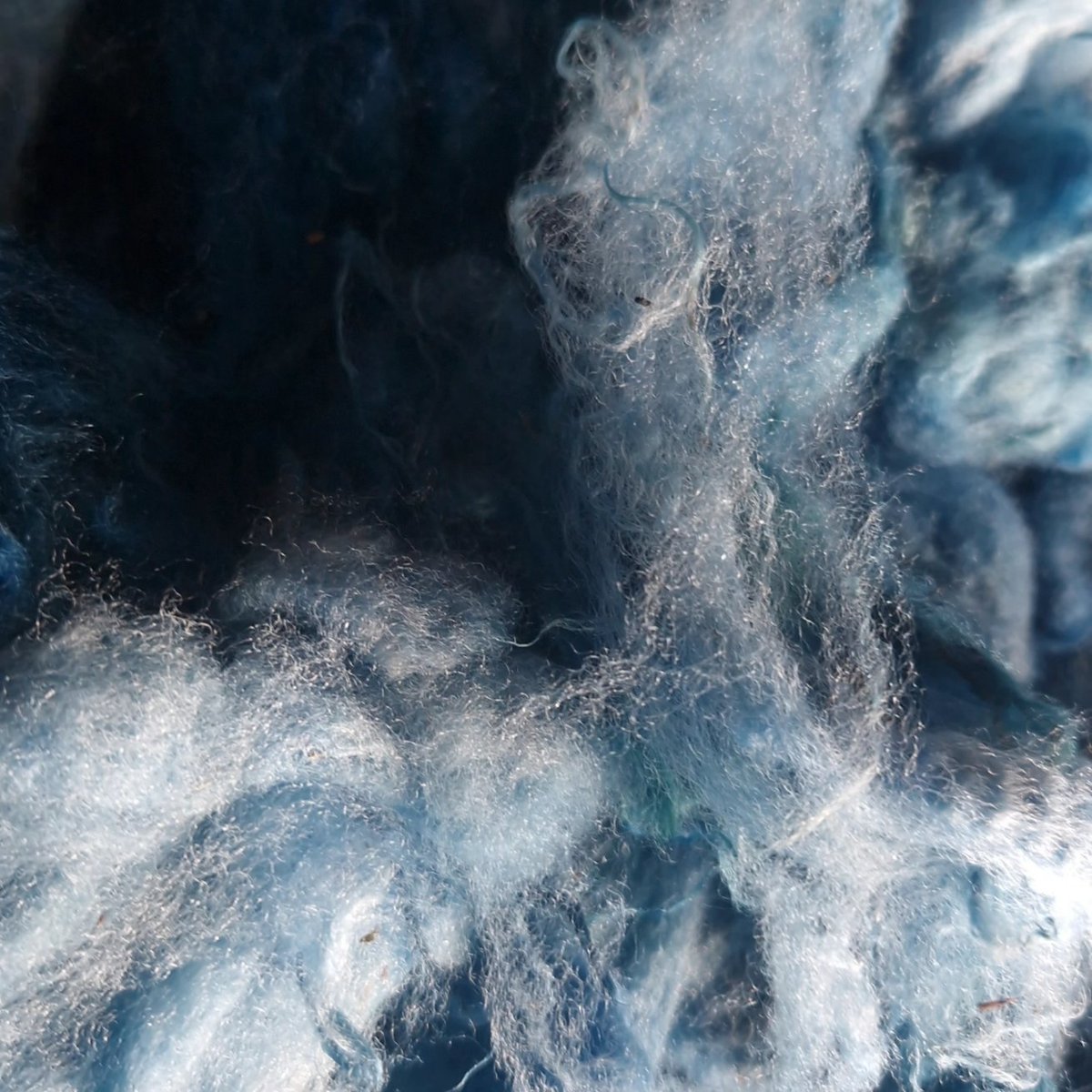 theislaysheep's tweet photo. Dyeing fleece for #handspinning #artyarn - the #sea. Colours inspired by #seaglass found on the beach #islay https://t.co/kqbgxVBroe