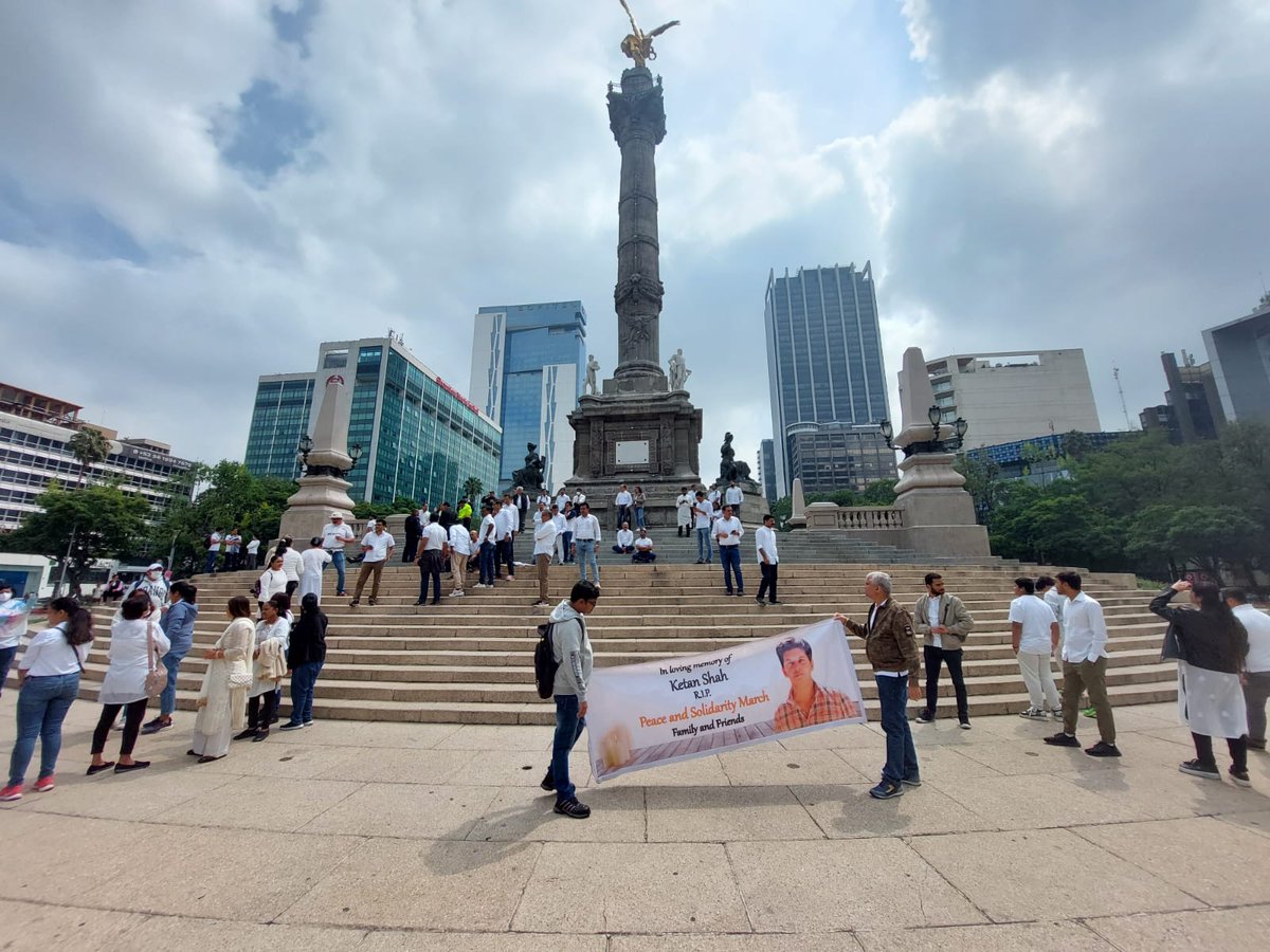 Pulso MX tweet media