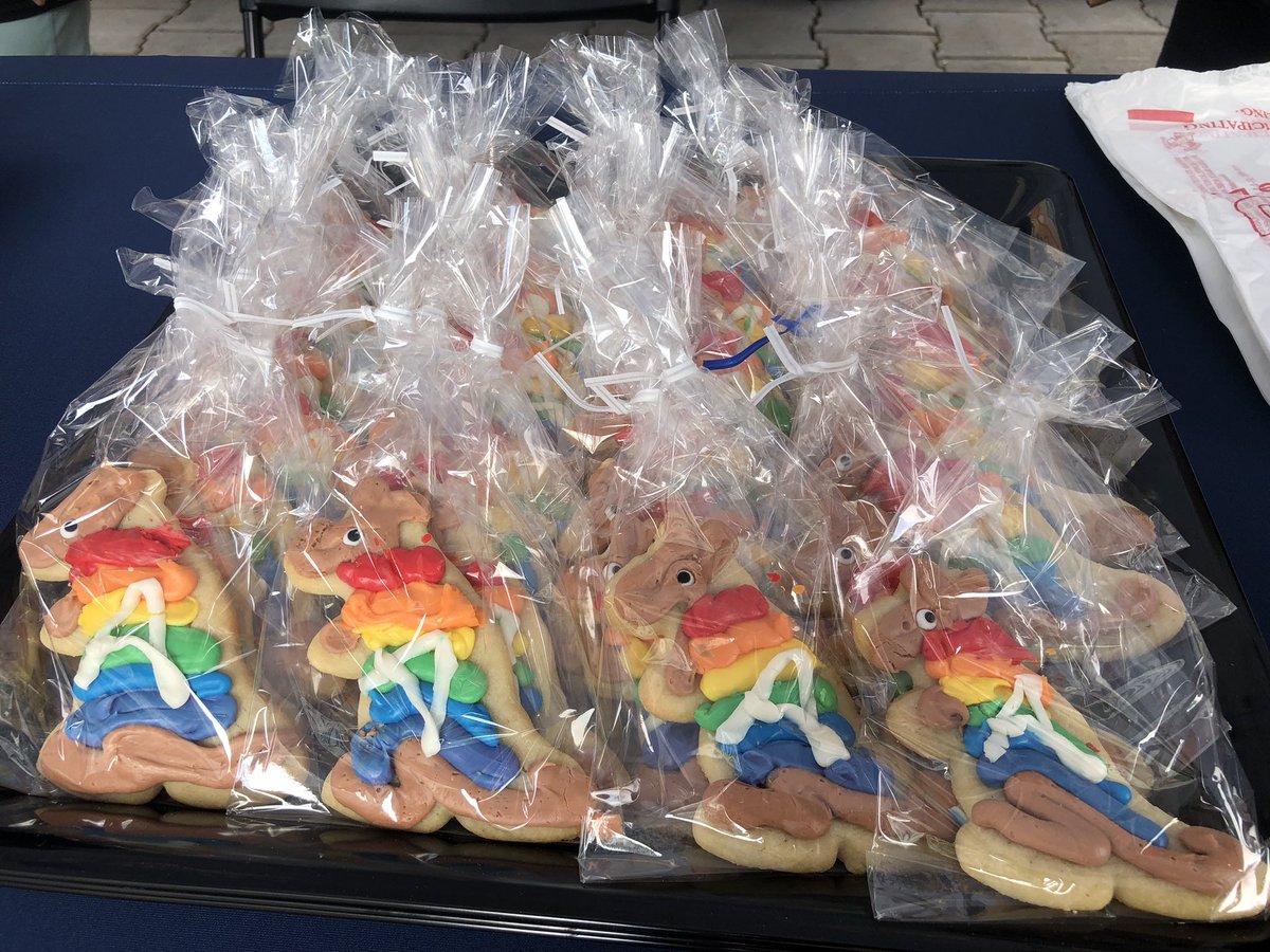 uakronalumni's tweet photo. We are PROUD to be amongst so many Zips at the Akron Pride Festival today! β€οΈπ§‘πππππ€π€ After the Equity March weβve been out on Main St. with giveaways from each of our colleges, student organizations, admissions! Itβs not too late join us! π¦ #AkronPride #ZipsPride https://t.co/VjJAPpij3x