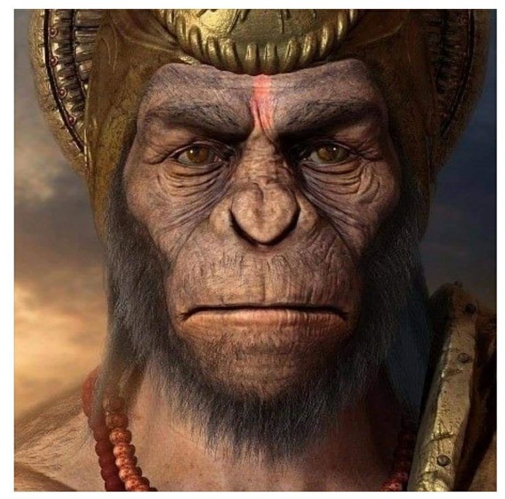 Nothing.... Friends

Just Two Ram Bhakts looking at each other ❣️