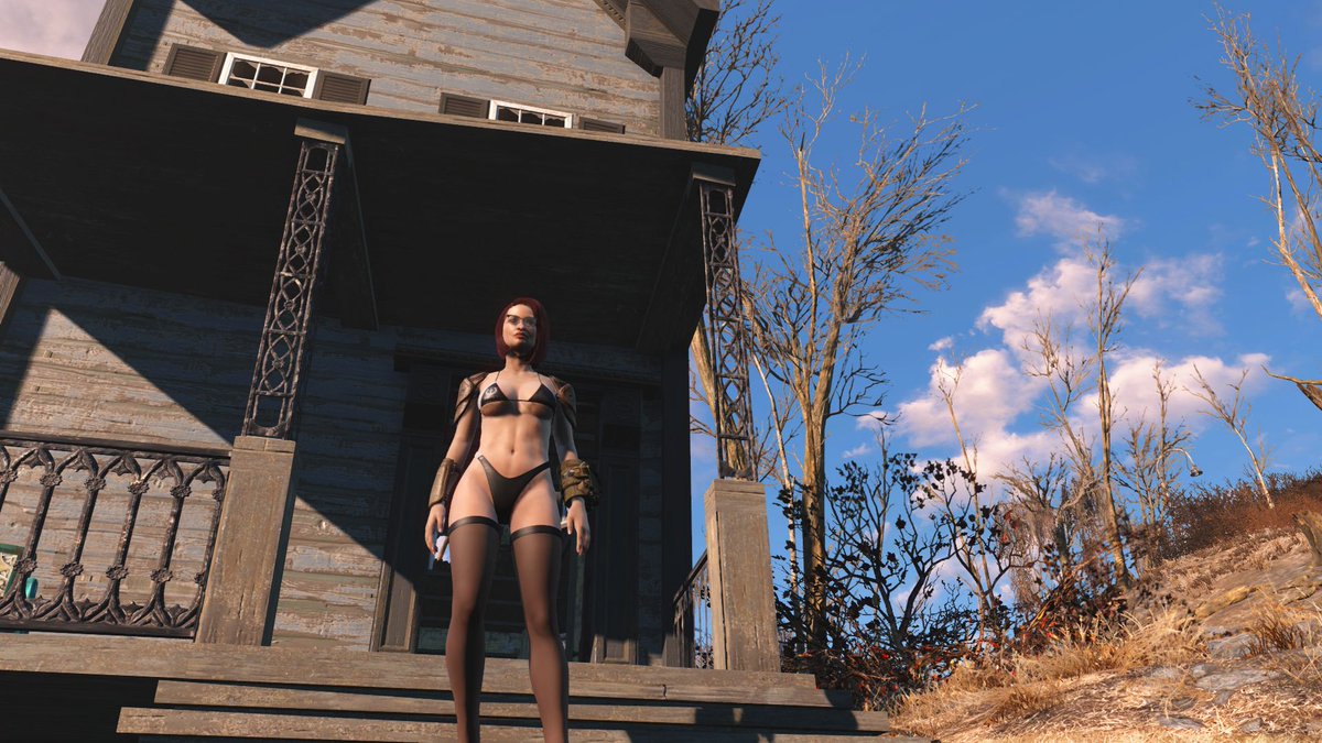 SOTA_Kitty tweet media