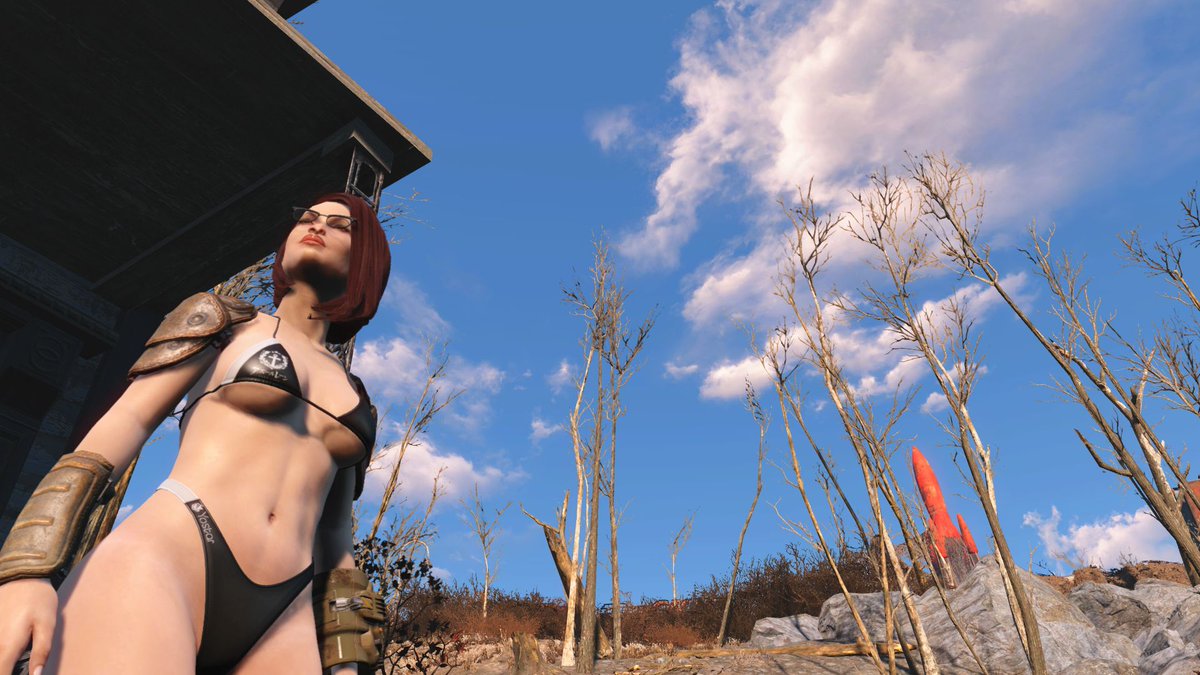 SOTA_Kitty tweet media