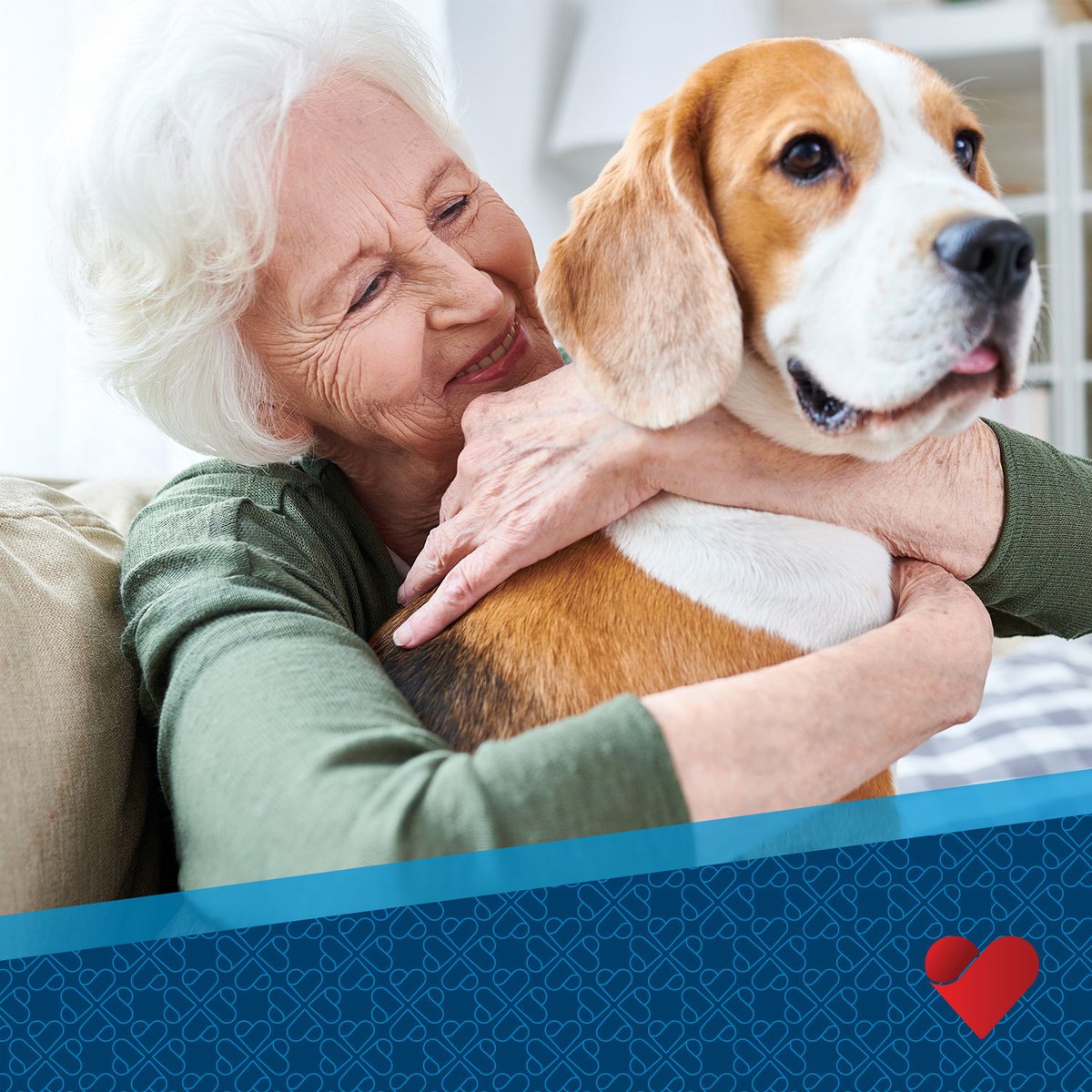 HomewellSeattle's tweet photo. Happy National Dog Day!

Today we're celebrating the joy pets bring, especially their remarkable benefits for seniors—from lowering blood pressure to fighting loneliness. Here's to our furry friends!
#NationalDogDay #Pets #HomeWellCares https://t.co/9HUJeVanOs