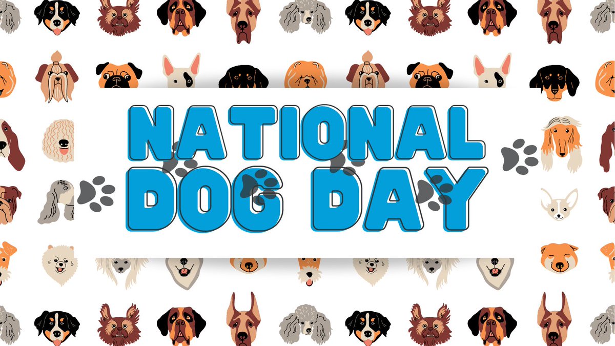 Dogs are more than just pets, they're family. Give your furry friend some extra cuddles today in honor of #NationalDogDay.